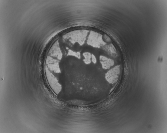 X0000111590975200908061345