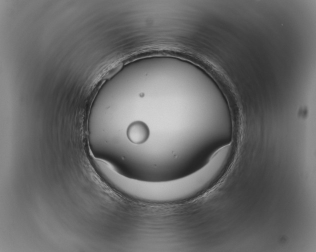 X0000111590977200908061345