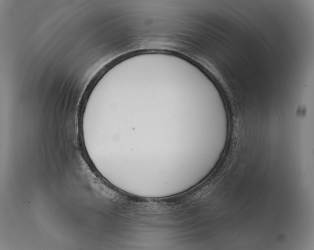 X0000111590980200908061345