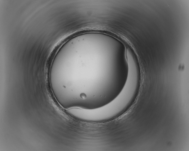 X0000111590981200908061345