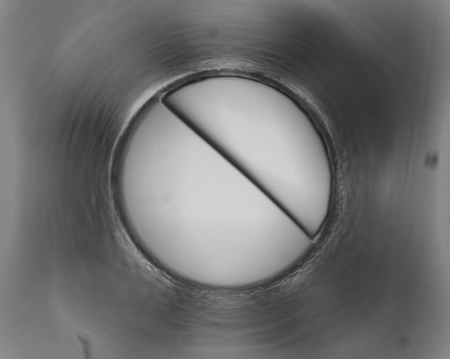 X0000111590983200908061345