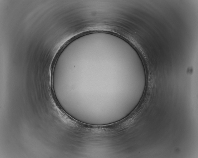 X0000111590988200908061345