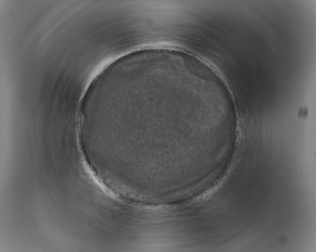 X0000111590989200908061345