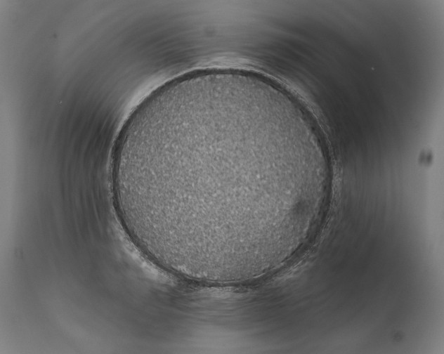 X0000111590990200908061345