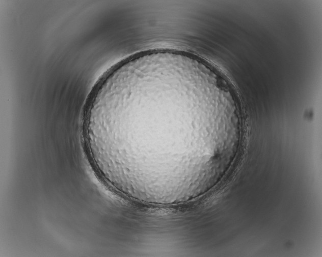 X0000111590991200908061345