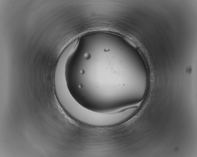 X0000111590993200908061345