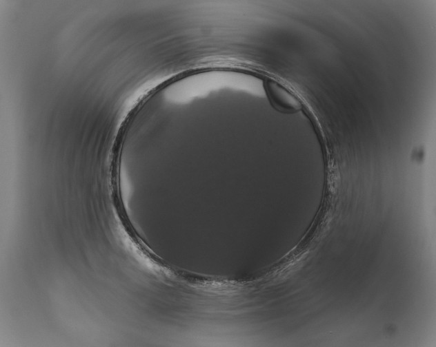 X0000111590995200908061345