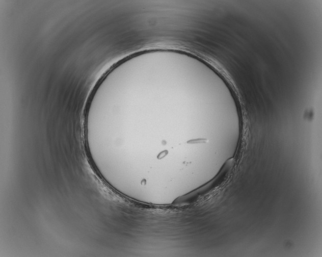 X0000111590996200908061345