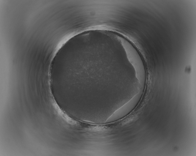 X0000111590998200908061345