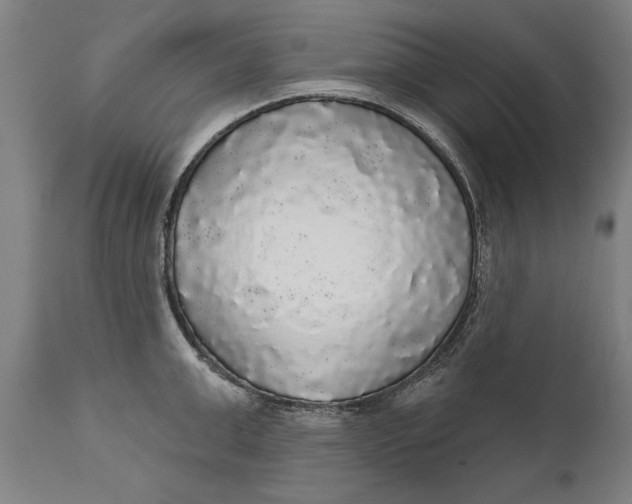 X0000111590999200908061345