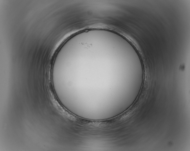 X0000111591000200908061345