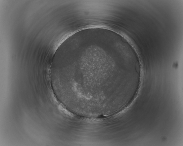 X0000111591001200908061345