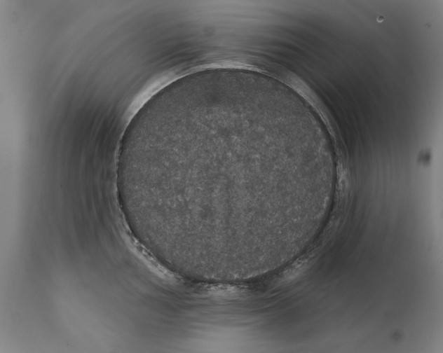 X0000111591002200908061345