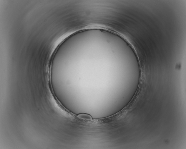 X0000111591003200908061345