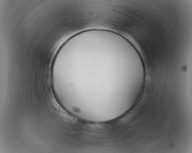 X0000111591004200908061345