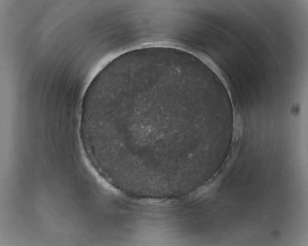 X0000111591005200908061345