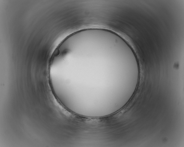 X0000111591006200908061345