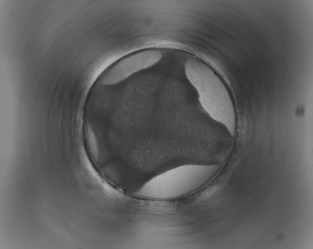 X0000111591007200908061345