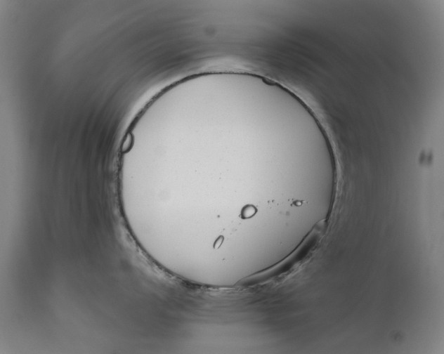 X0000111591008200908061345