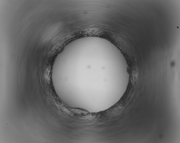 X0000111591010200908061344