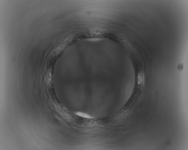 X0000111591011200908061344