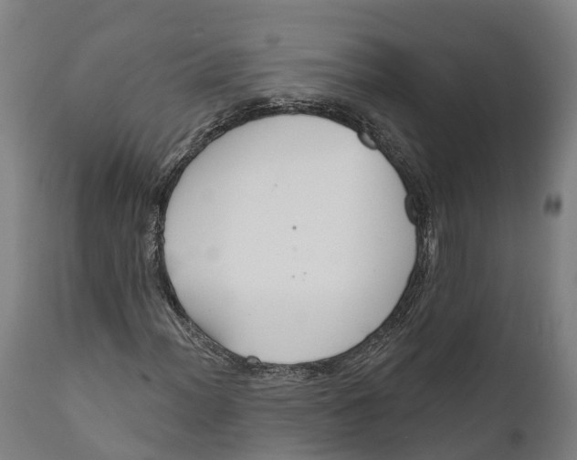 X0000111591012200908061344