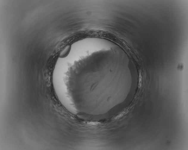 X0000111591013200908061344