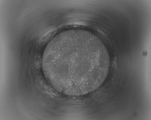 X0000111591014200908061344