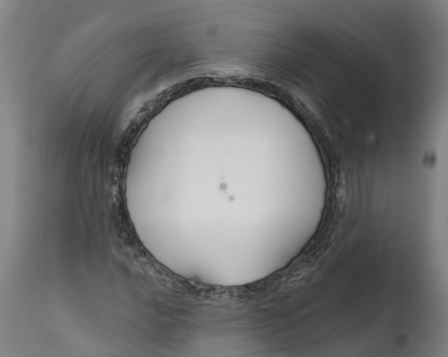 X0000111591016200908061344