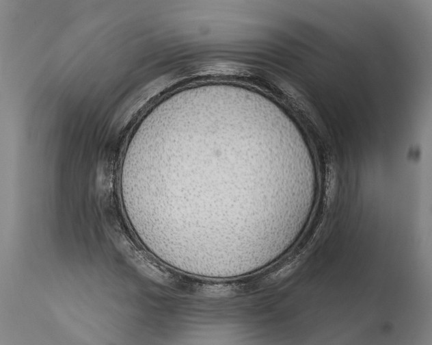 X0000111591017200908061344