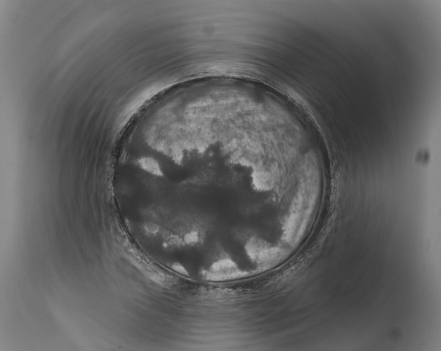 X0000111591019200908061344