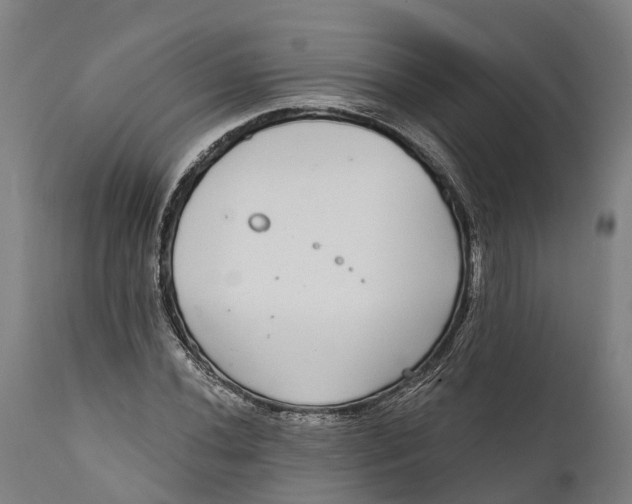 X0000111591020200908061345