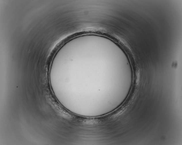 X0000111591021200908061345