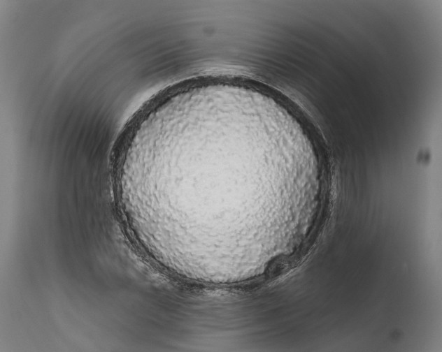 X0000111591022200908061345