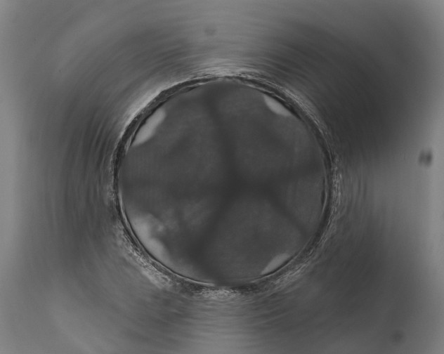 X0000111591023200908061345