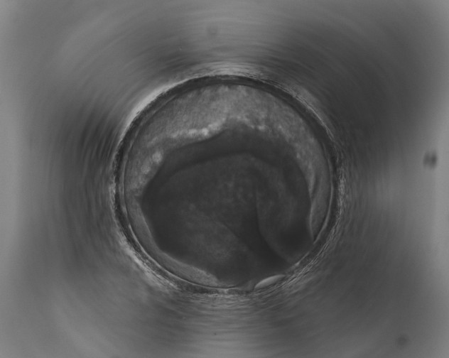 X0000111591024200908061345