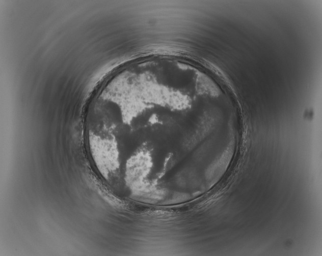 X0000111591027200908061345