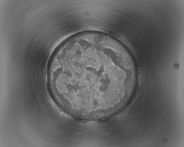 X0000111591028200908061345