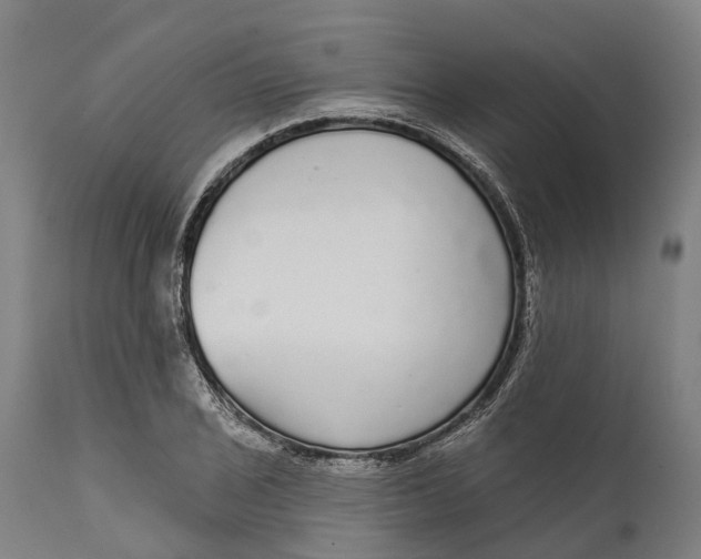 X0000111591029200908061345