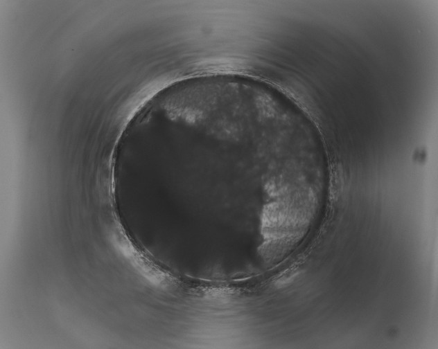 X0000111591031200908061345