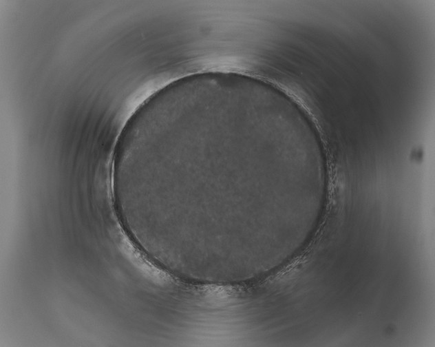 X0000111591032200908061345