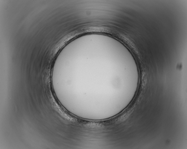 X0000111591033200908061345