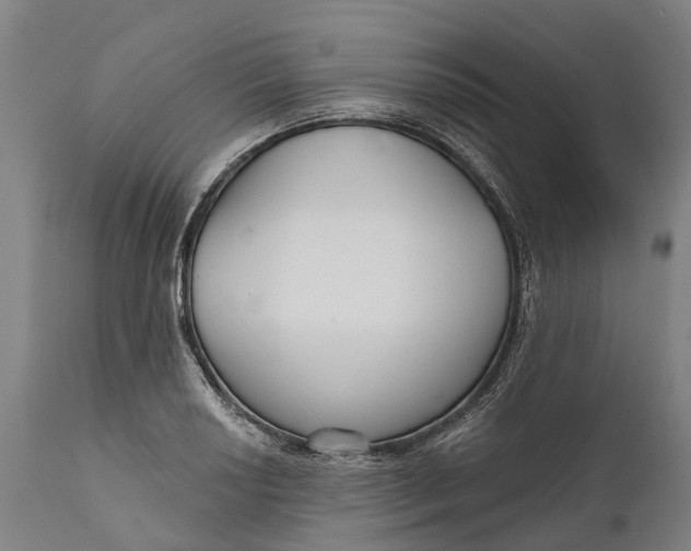 X0000111591034200908061345