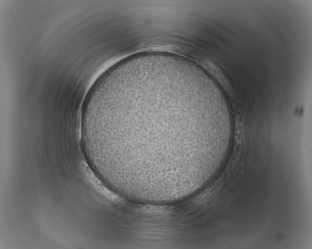 X0000111591036200908061345