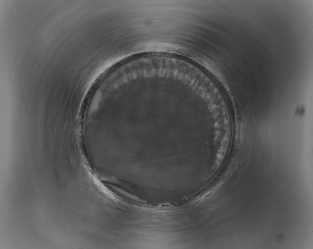 X0000111591037200908061345