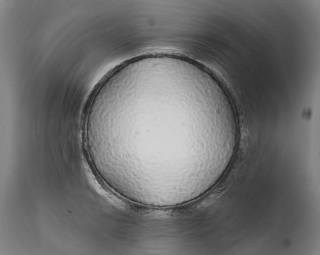 X0000111591038200908061345