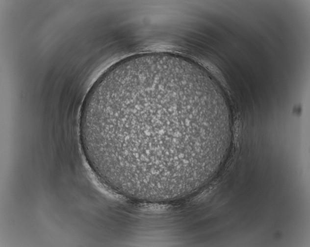 X0000111591039200908061345