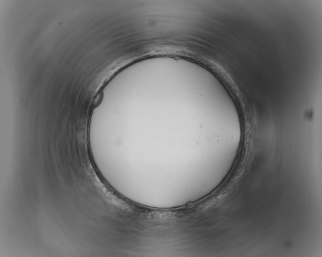 X0000111591041200908061345