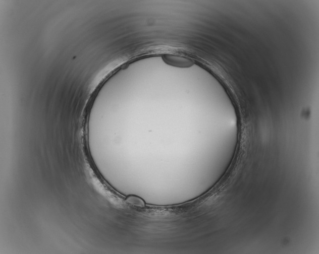 X0000111591042200908061345