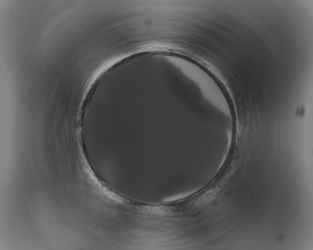 X0000111591045200908061345